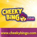 Visit Cheeky Bingo