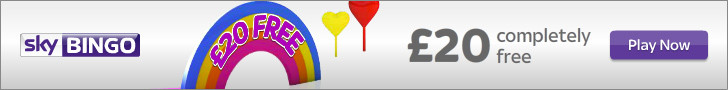 Play SKY Bingo